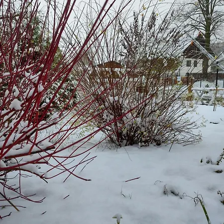 Pod Grusza 公寓 库多瓦-兹德鲁伊