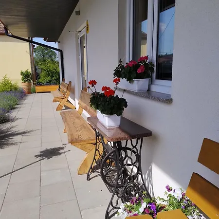 Pod Grusza Appartement *