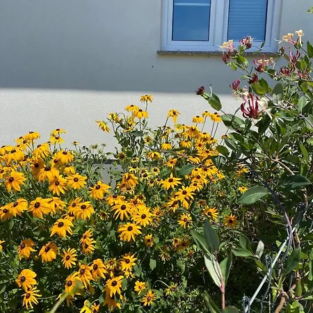 Pod Grusza 公寓 库多瓦-兹德鲁伊