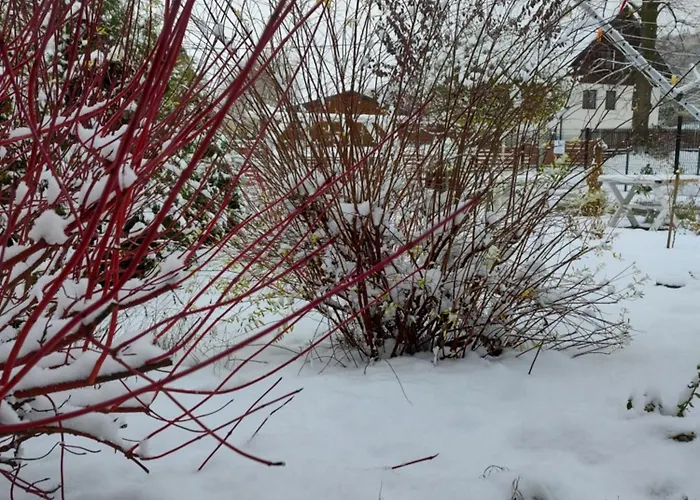 Pod Grusza Apartamento Kudowa-Zdrój