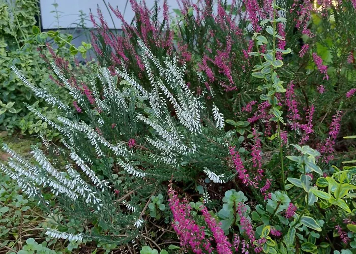 Pod Grusza Kudowa-Zdrój