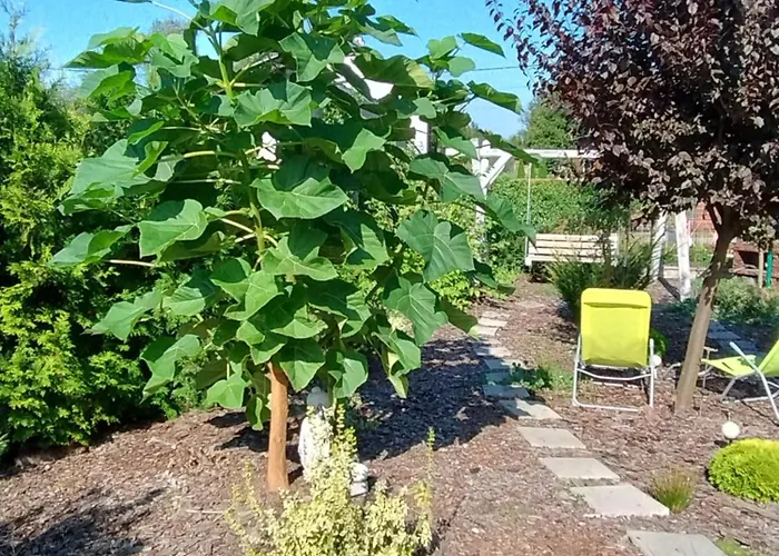 Pod Grusza * Kudowa-Zdrój