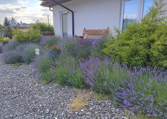 Pod Grusza Apartamento *