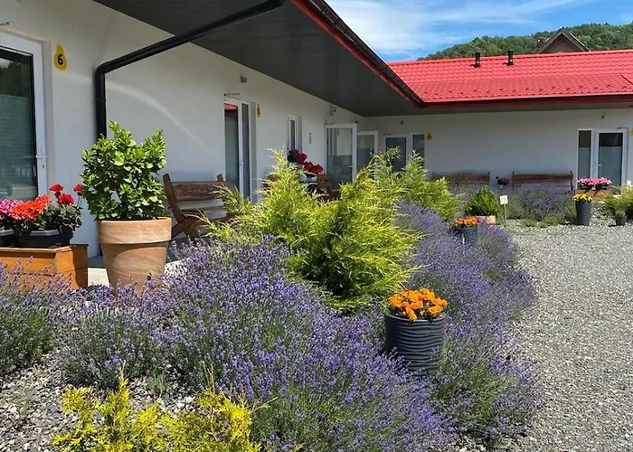 Pod Grusza * Kudowa-Zdrój