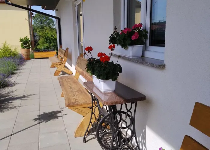 Pod Grusza Apartamento *