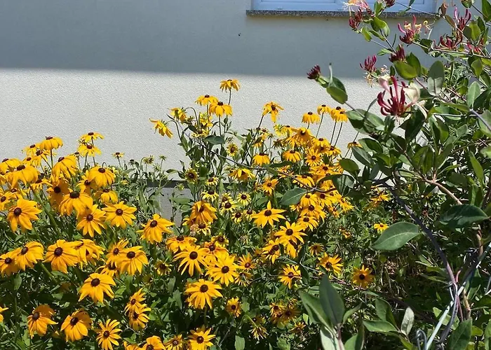 Pod Grusza Apartamento Kudowa-Zdrój